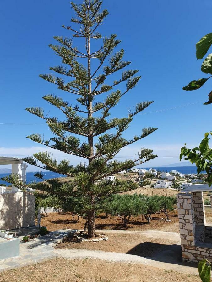 Anthoula'S Sea View Apartment Piso Livadi Exterior foto