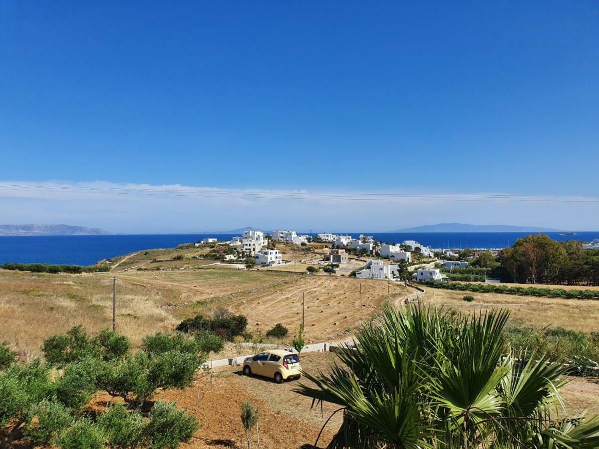 Anthoula'S Sea View Apartment Piso Livadi Exterior foto